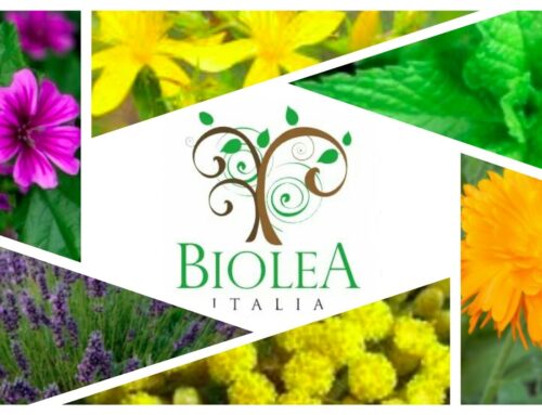 Il mondo della cosmesi naturale ti incuriosisce? Scopri insieme a  Biolea Italia principi terapeutici, benefici e usi popolari delle piante officinali.